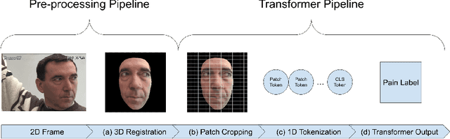 Figure 3 for Fully-attentive and interpretable: vision and video vision transformers for pain detection
