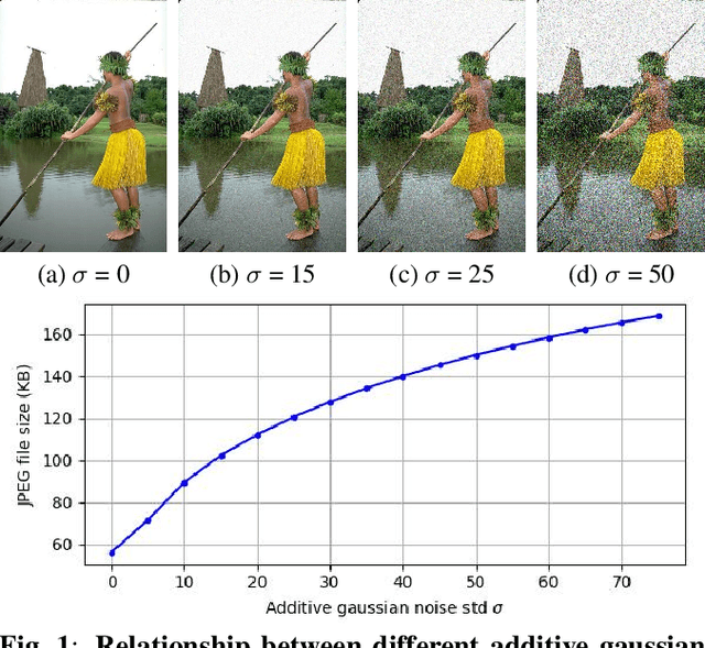 Figure 1 for JPEG Information Regularized Deep Image Prior for Denoising