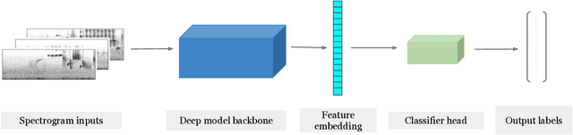 Figure 1 for Feature Embeddings from Large-Scale Acoustic Bird Classifiers Enable Few-Shot Transfer Learning