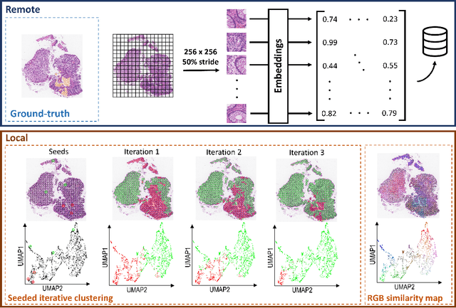 Figure 1 for Seeded iterative clustering for histology region identification
