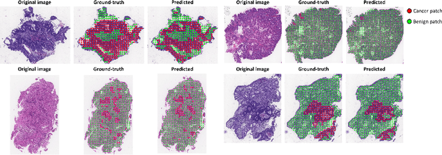 Figure 3 for Seeded iterative clustering for histology region identification