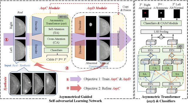 Figure 1 for DisAsymNet: Disentanglement of Asymmetrical Abnormality on Bilateral Mammograms using Self-adversarial Learning