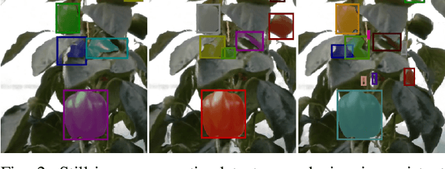 Figure 2 for PAg-NeRF: Towards fast and efficient end-to-end panoptic 3D representations for agricultural robotics