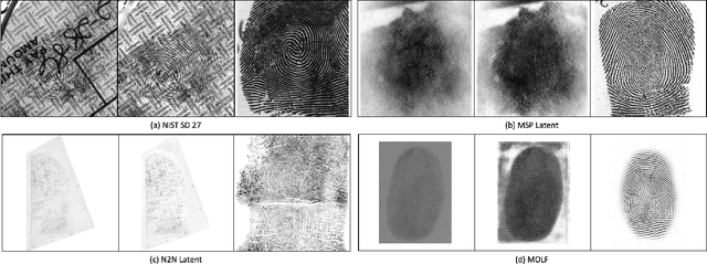 Figure 3 for Latent Fingerprint Recognition: Fusion of Local and Global Embeddings
