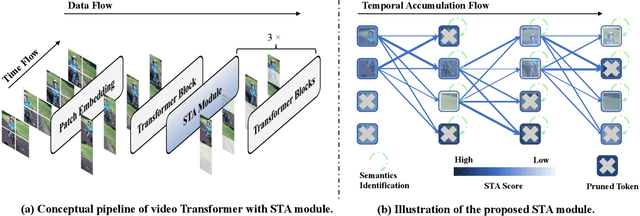 Figure 3 for Prune Spatio-temporal Tokens by Semantic-aware Temporal Accumulation