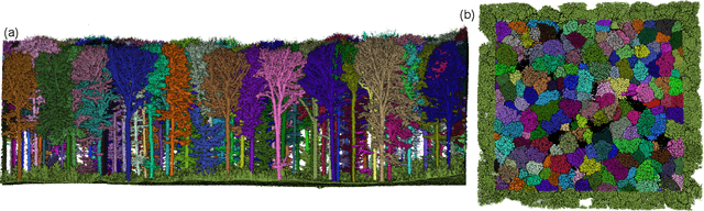 Figure 1 for TreeLearn: A Comprehensive Deep Learning Method for Segmenting Individual Trees from Forest Point Clouds