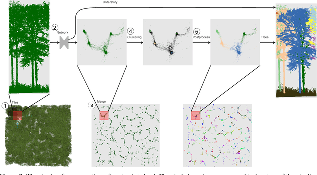 Figure 3 for TreeLearn: A Comprehensive Deep Learning Method for Segmenting Individual Trees from Forest Point Clouds