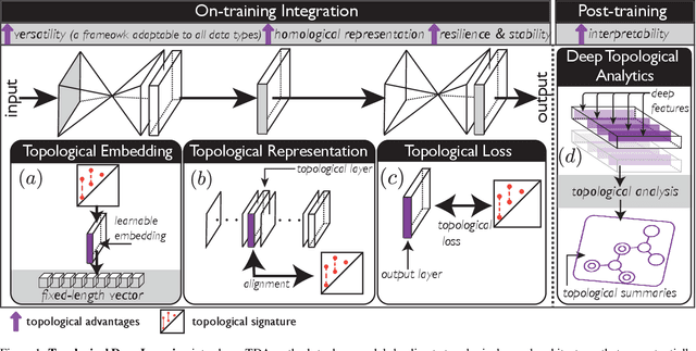 Figure 1 for Topological Deep Learning: A Review of an Emerging Paradigm