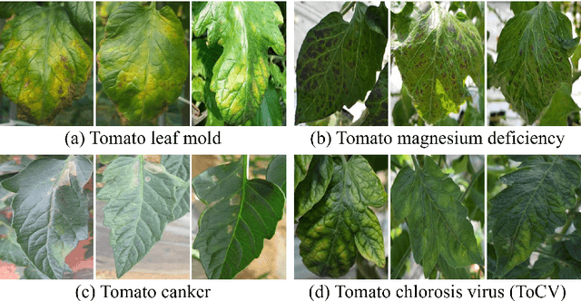 Figure 4 for Embracing Limited and Imperfect Data: A Review on Plant Stress Recognition Using Deep Learning
