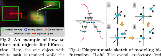 Figure 3 for Online Multi-spectral Neuron Tracing