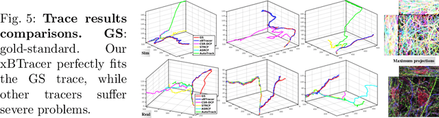 Figure 4 for Online Multi-spectral Neuron Tracing
