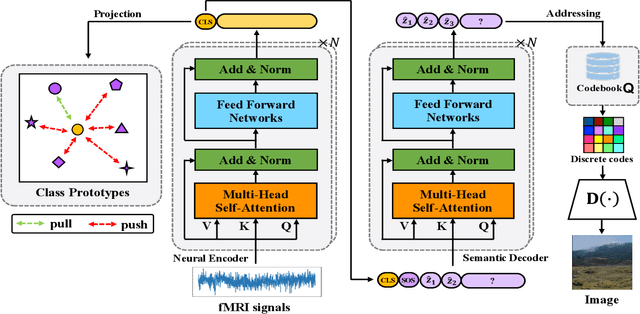 Figure 3 for Semantic Neural Decoding via Cross-Modal Generation