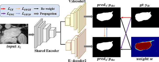 Figure 1 for Cross-supervised Dual Classifiers for Semi-supervised Medical Image Segmentation