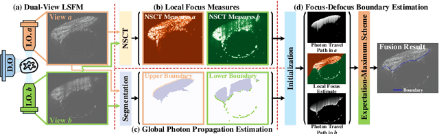 Figure 1 for BigFUSE: Global Context-Aware Image Fusion in Dual-View Light-Sheet Fluorescence Microscopy with Image Formation Prior
