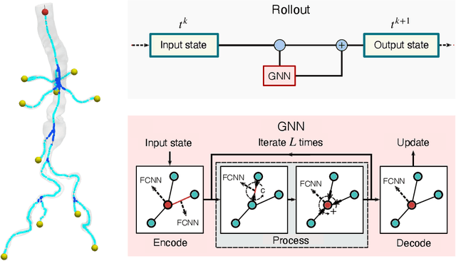 Figure 1 for Learning Reduced-Order Models for Cardiovascular Simulations with Graph Neural Networks
