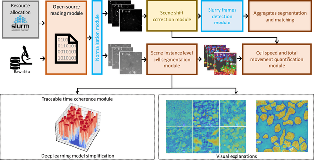 Figure 1 for Phagocytosis Unveiled: A Scalable and Interpretable Deep learning Framework for Neurodegenerative Disease Analysis