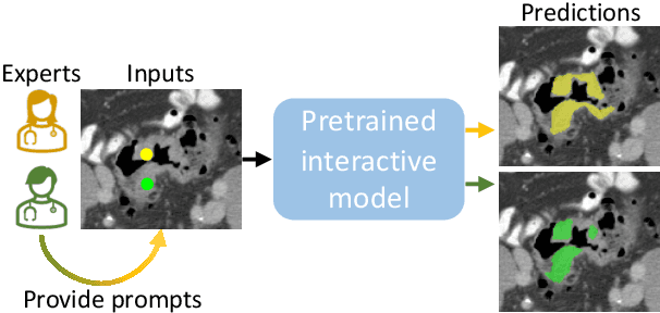 Figure 1 for Assessing Test-time Variability for Interactive 3D Medical Image Segmentation with Diverse Point Prompts