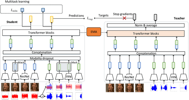 Figure 1 for Self-Supervised Audio-Visual Speech Representations Learning By Multimodal Self-Distillation