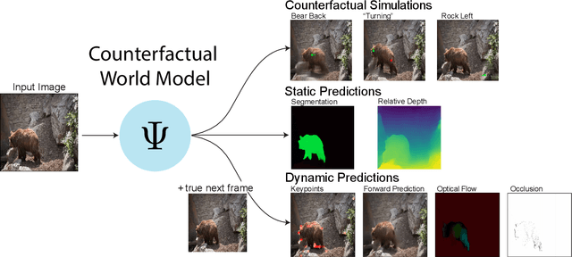 Figure 1 for Unifying (Machine) Vision via Counterfactual World Modeling