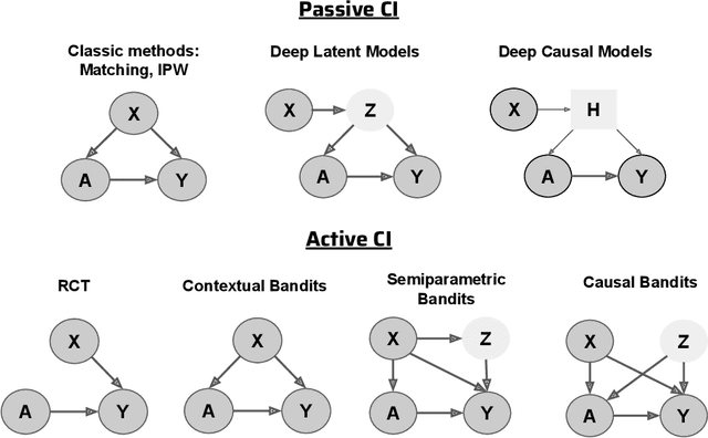 Figure 1 for Active and Passive Causal Inference Learning
