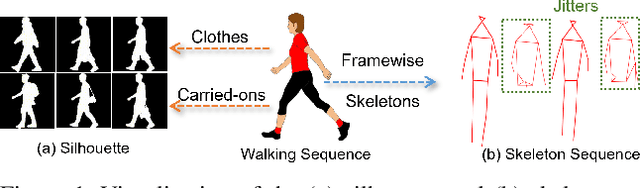 Figure 1 for GaitRef: Gait Recognition with Refined Sequential Skeletons