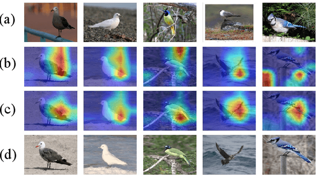 Figure 4 for Saliency-Guided Mutual Learning Network for Few-shot Fine-grained Visual Recognition