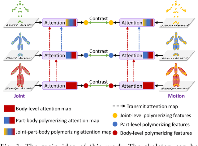 Figure 1 for Pyramid Self-attention Polymerization Learning for Semi-supervised Skeleton-based Action Recognition