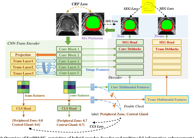 Figure 3 for ScribbleVC: Scribble-supervised Medical Image Segmentation with Vision-Class Embedding