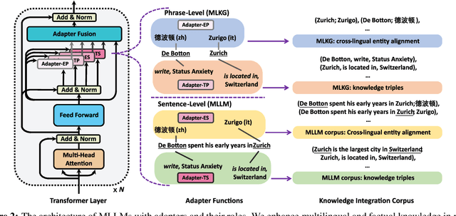 Figure 3 for Adapters for Enhanced Modeling of Multilingual Knowledge and Text
