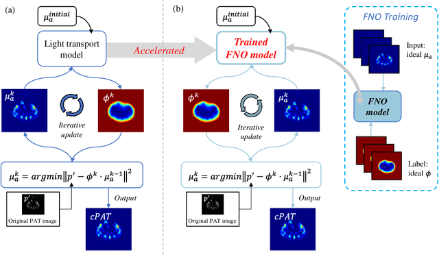 Figure 1 for Deep learning acceleration of iterative model-based light fluence correction for photoacoustic tomography