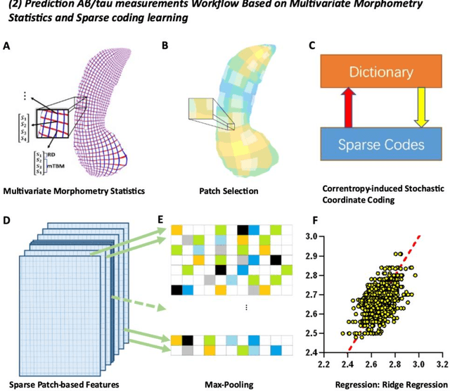 Figure 2 for Improved Prediction of Beta-Amyloid and Tau Burden Using Hippocampal Surface Multivariate Morphometry Statistics and Sparse Coding