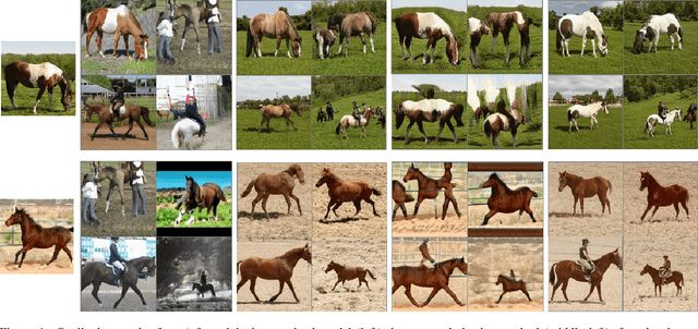 Figure 4 for Texturize a GAN Using a Single Image