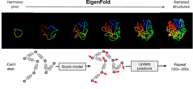 Figure 1 for EigenFold: Generative Protein Structure Prediction with Diffusion Models