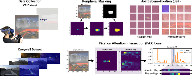 Figure 1 for Fixating on Attention: Integrating Human Eye Tracking into Vision Transformers