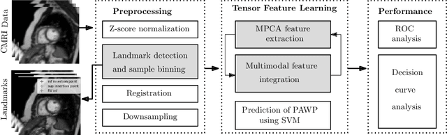 Figure 1 for Tensor-based Multimodal Learning for Prediction of Pulmonary Arterial Wedge Pressure from Cardiac MRI