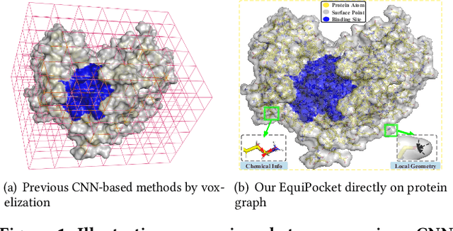 Figure 1 for EquiPocket: an E(3)-Equivariant Geometric Graph Neural Network for Ligand Binding Site Prediction