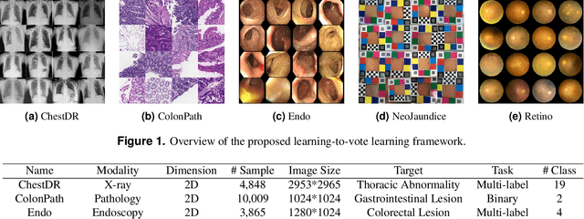 Figure 1 for MedFMC: A Real-world Dataset and Benchmark For Foundation Model Adaptation in Medical Image Classification