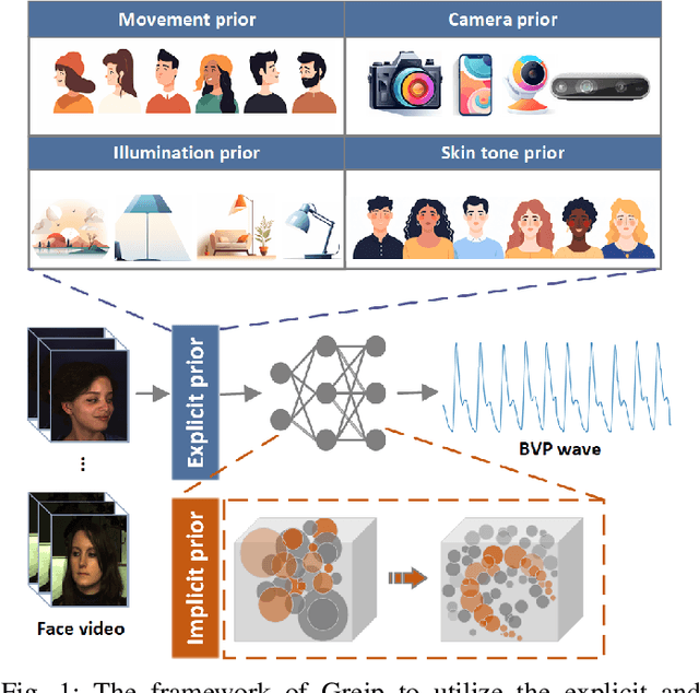 Figure 1 for Advancing Generalizable Remote Physiological Measurement through the Integration of Explicit and Implicit Prior Knowledge