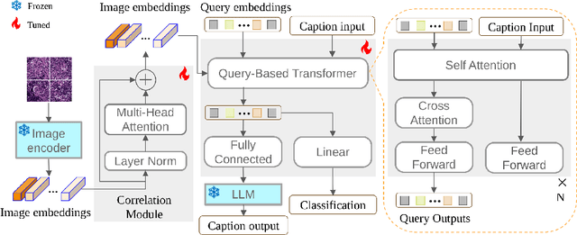 Figure 1 for PathM3: A Multimodal Multi-Task Multiple Instance Learning Framework for Whole Slide Image Classification and Captioning