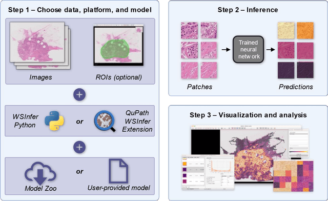 Figure 1 for Open and reusable deep learning for pathology with WSInfer and QuPath