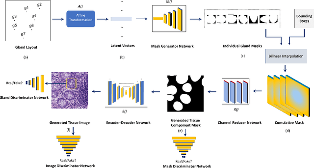 Figure 3 for Synthesis of Annotated Colorectal Cancer Tissue Images from Gland Layout