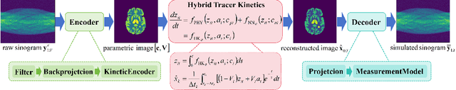 Figure 1 for Hybrid Kinetics Embedding Framework for Dynamic PET Reconstruction
