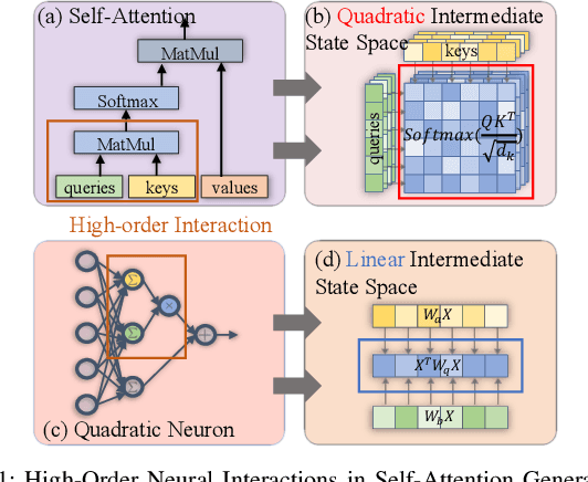 Figure 1 for QuadraNet: Improving High-Order Neural Interaction Efficiency with Hardware-Aware Quadratic Neural Networks