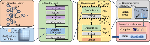 Figure 3 for QuadraNet: Improving High-Order Neural Interaction Efficiency with Hardware-Aware Quadratic Neural Networks