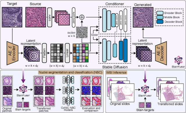 Figure 1 for StainFuser: Controlling Diffusion for Faster Neural Style Transfer in Multi-Gigapixel Histology Images