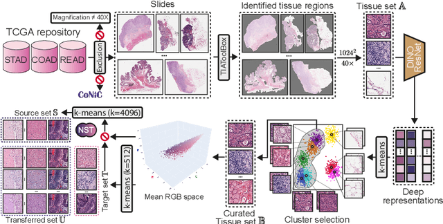 Figure 3 for StainFuser: Controlling Diffusion for Faster Neural Style Transfer in Multi-Gigapixel Histology Images
