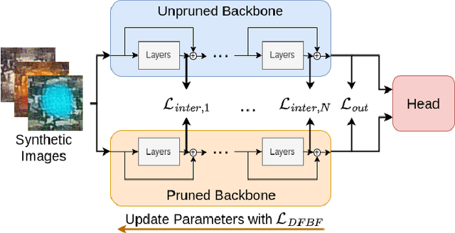 Figure 1 for Data-Free Backbone Fine-Tuning for Pruned Neural Networks