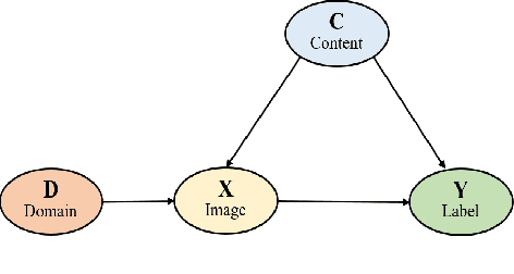 Figure 2 for Causal reasoning in typical computer vision tasks