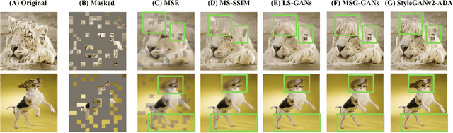 Figure 3 for Improving Visual Representation Learning through Perceptual Understanding