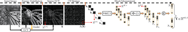 Figure 1 for Sparsity and Coefficient Permutation Based Two-Domain AMP for Image Block Compressed Sensing